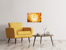 Laden Sie das Bild in den Galerie-Viewer, Leinwandbild Close Up Pusteblume im Licht