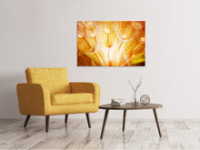 Laden Sie das Bild in den Galerie-Viewer, Leinwandbild Close Up Pusteblume im Licht