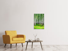 Laden Sie das Bild in den Galerie-Viewer, Leinwandbild Der Birkenwald im Sommer