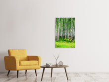 Laden Sie das Bild in den Galerie-Viewer, Leinwandbild Der Birkenwald im Sommer