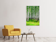 Laden Sie das Bild in den Galerie-Viewer, Leinwandbild Der Birkenwald im Sommer