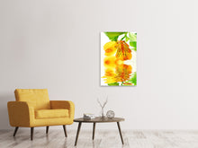 Laden Sie das Bild in den Galerie-Viewer, Leinwandbild Fliessende Orchideenblüte