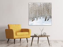 Laden Sie das Bild in den Galerie-Viewer, Leinwandbild Birkenwald-Spuren im Schnee