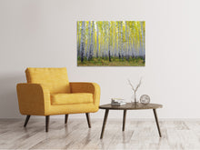Laden Sie das Bild in den Galerie-Viewer, Leinwandbild Herbstlicher Birkenwald