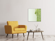 Laden Sie das Bild in den Galerie-Viewer, Leinwandbild Bambuswall