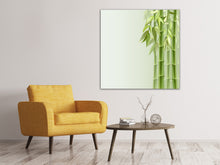 Laden Sie das Bild in den Galerie-Viewer, Leinwandbild Bambuswall