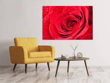 Laden Sie das Bild in den Galerie-Viewer, Leinwandbild Rote Rose im Morgentau