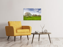 Laden Sie das Bild in den Galerie-Viewer, Leinwandbild Apfelbaum-Garten