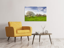Laden Sie das Bild in den Galerie-Viewer, Leinwandbild Apfelbaum-Garten