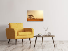 Laden Sie das Bild in den Galerie-Viewer, Leinwandbild Weideland in Kenia