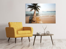 Laden Sie das Bild in den Galerie-Viewer, Leinwandbild Palme