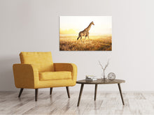 Laden Sie das Bild in den Galerie-Viewer, Leinwandbild Die Giraffe