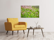 Laden Sie das Bild in den Galerie-Viewer, Leinwandbild Der Wiesenklee