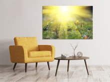 Laden Sie das Bild in den Galerie-Viewer, Leinwandbild Blumige Wiese