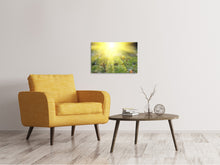 Laden Sie das Bild in den Galerie-Viewer, Leinwandbild Blumige Wiese
