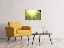 Laden Sie das Bild in den Galerie-Viewer, Leinwandbild Blumige Wiese