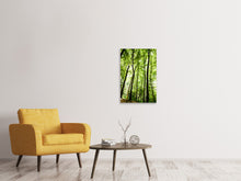 Laden Sie das Bild in den Galerie-Viewer, Leinwandbild Wald