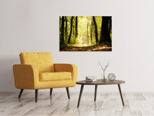 Laden Sie das Bild in den Galerie-Viewer, Leinwandbild Sonnenaufgang im Wald