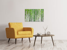 Laden Sie das Bild in den Galerie-Viewer, Leinwandbild Der Birkenwald