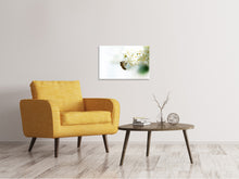 Laden Sie das Bild in den Galerie-Viewer, Leinwandbild Die Hummel und die Blüte