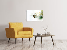 Laden Sie das Bild in den Galerie-Viewer, Leinwandbild Die Hummel und die Blüte