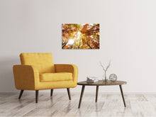 Laden Sie das Bild in den Galerie-Viewer, Leinwandbild Herbstbäume