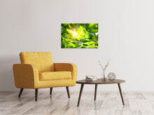 Laden Sie das Bild in den Galerie-Viewer, Leinwandbild Es grünt so grün