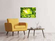 Laden Sie das Bild in den Galerie-Viewer, Leinwandbild Es grünt so grün
