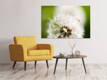 Laden Sie das Bild in den Galerie-Viewer, Leinwandbild Pusteblume Löwenzahn