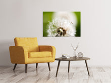 Laden Sie das Bild in den Galerie-Viewer, Leinwandbild Pusteblume Löwenzahn