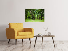 Laden Sie das Bild in den Galerie-Viewer, Leinwandbild Kirschbaum-Garten