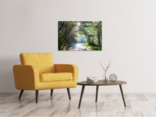 Laden Sie das Bild in den Galerie-Viewer, Leinwandbild Sonniger Waldweg
