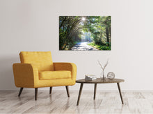 Laden Sie das Bild in den Galerie-Viewer, Leinwandbild Sonniger Waldweg