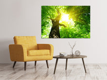 Laden Sie das Bild in den Galerie-Viewer, Leinwandbild Baum