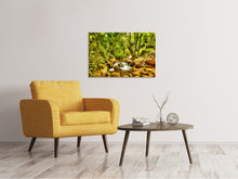 Laden Sie das Bild in den Galerie-Viewer, Leinwandbild Wasserfall im Wald