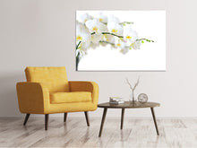 Laden Sie das Bild in den Galerie-Viewer, Leinwandbild Weisse Orchideen