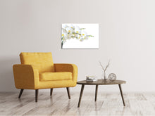 Laden Sie das Bild in den Galerie-Viewer, Leinwandbild Weisse Orchideen