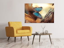Laden Sie das Bild in den Galerie-Viewer, Leinwandbild Schmetterlinge