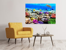 Laden Sie das Bild in den Galerie-Viewer, Leinwandbild Fischaquarium