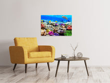 Laden Sie das Bild in den Galerie-Viewer, Leinwandbild Fischaquarium