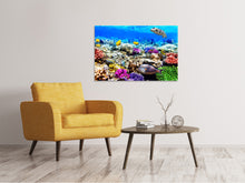 Laden Sie das Bild in den Galerie-Viewer, Leinwandbild Fischaquarium