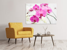 Laden Sie das Bild in den Galerie-Viewer, Leinwandbild Das Symbol der Orchidee