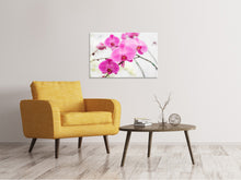 Laden Sie das Bild in den Galerie-Viewer, Leinwandbild Das Symbol der Orchidee