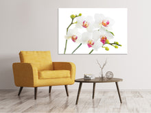 Laden Sie das Bild in den Galerie-Viewer, Leinwandbild Orchideenliebe