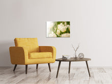 Laden Sie das Bild in den Galerie-Viewer, Leinwandbild Tulpenperspektive