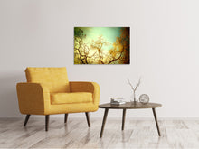 Laden Sie das Bild in den Galerie-Viewer, Leinwandbild Bäume im Herbst
