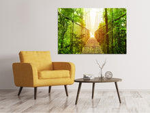 Laden Sie das Bild in den Galerie-Viewer, Leinwandbild Hängebrücke