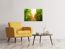 Laden Sie das Bild in den Galerie-Viewer, Leinwandbild Hängebrücke
