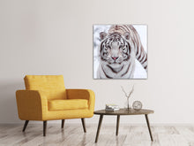 Laden Sie das Bild in den Galerie-Viewer, Leinwandbild Der Königstiger