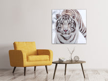 Laden Sie das Bild in den Galerie-Viewer, Leinwandbild Der Königstiger